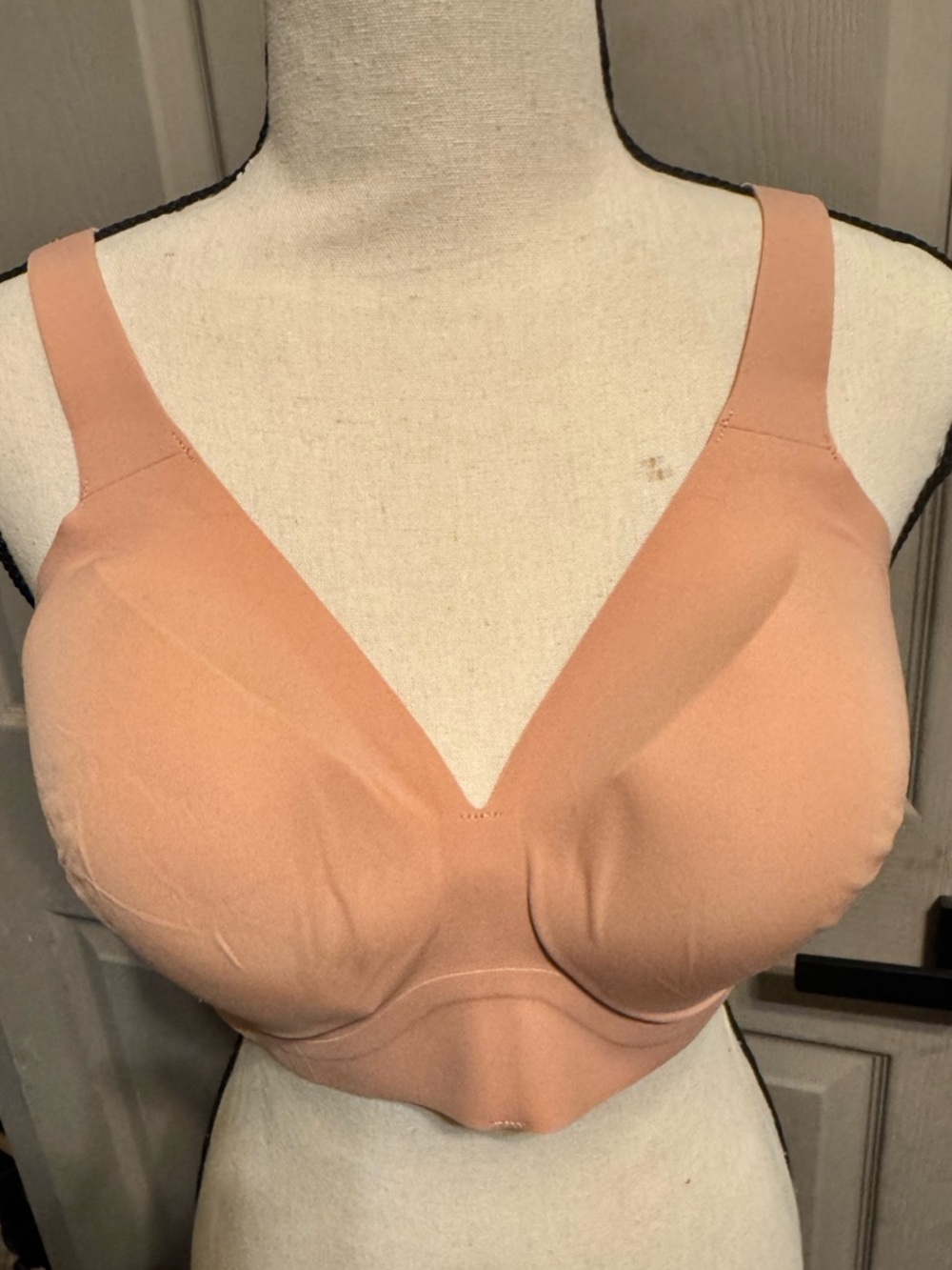 Evelyn & Bobbie plunge bra